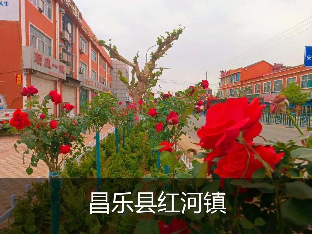 昌乐县红河镇